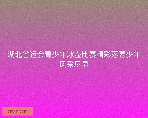 湖北省运会青少年冰壶比赛精彩落幕少年风采尽显